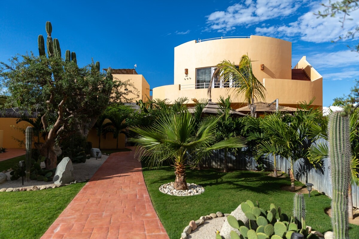 imgi_133_f1c00883-7648-420d-8c19-1f9700520ae1